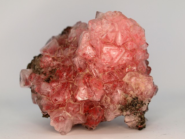 quartz rose lion